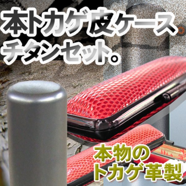 画像1: チタン実印用印鑑 16.5mm丸【高級トカゲ皮ケース付】 (1)