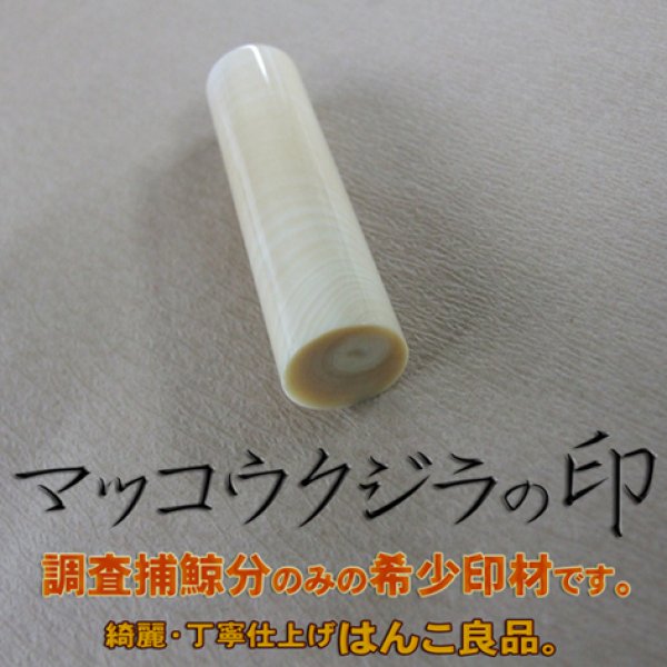 送料無料！レアもの！（4）▼□マッコウ鯨歯の印材 φ12.13×60.48mm 飴色の極上芯持ち！高級トカゲケース付！マニア向きの一品！