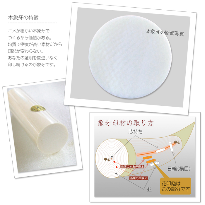 日本最大の 象牙調 印材 印鑑 はんこ ハンコ 未使用