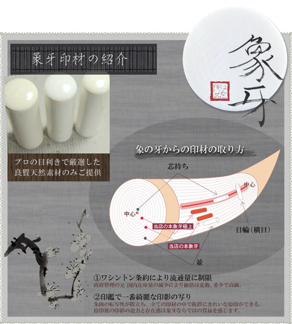 インショップ 【特大】最高級印材 象牙調 象牙風 印材 実印 - 文房具